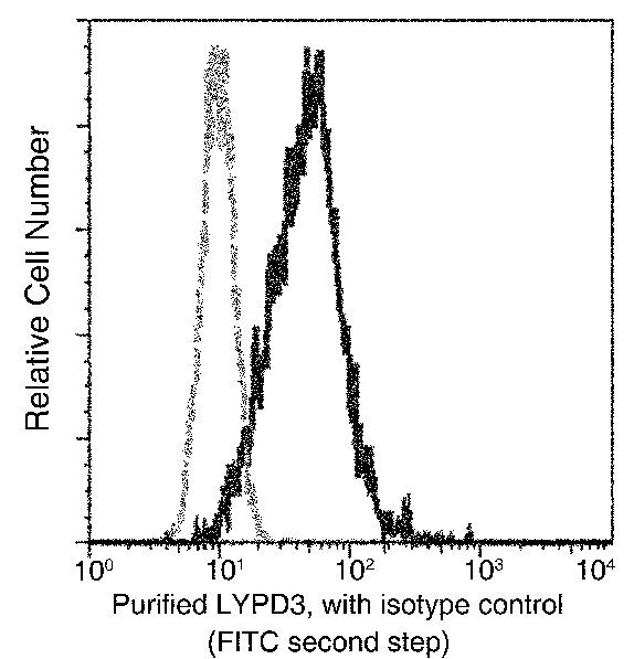 LYPD3 Antibody in Flow Cytometry (Flow)
