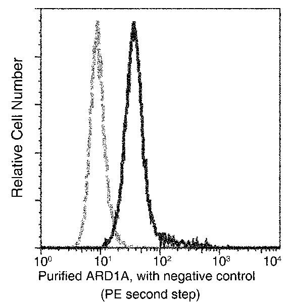 ARD1A Antibody in Flow Cytometry (Flow)