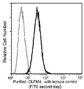 OLFM4 Antibody in Flow Cytometry (Flow)