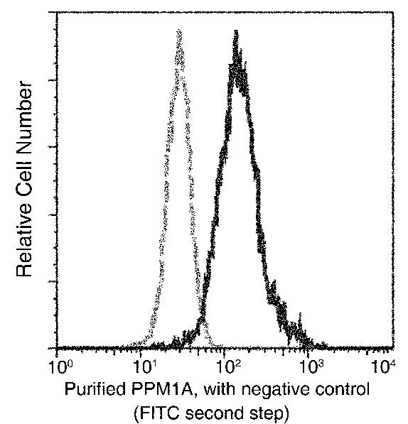 PPM1A Antibody in Flow Cytometry (Flow)