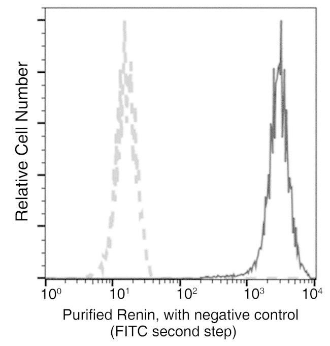 Renin Antibody in Flow Cytometry (Flow)