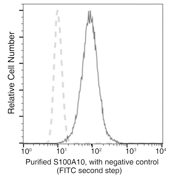 S100A10 Antibody in Flow Cytometry (Flow)