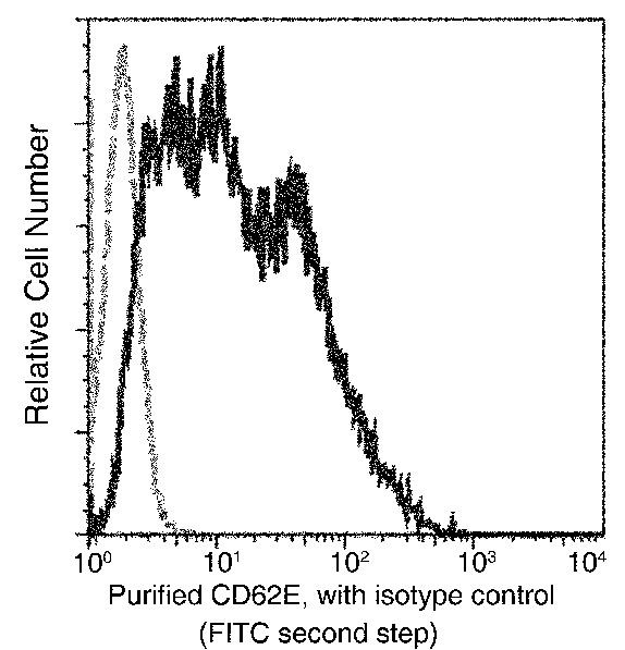 E-selectin Antibody in Flow Cytometry (Flow)