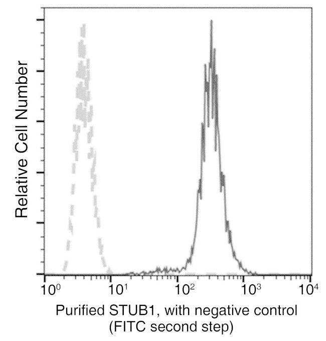 STUB1 Antibody in Flow Cytometry (Flow)