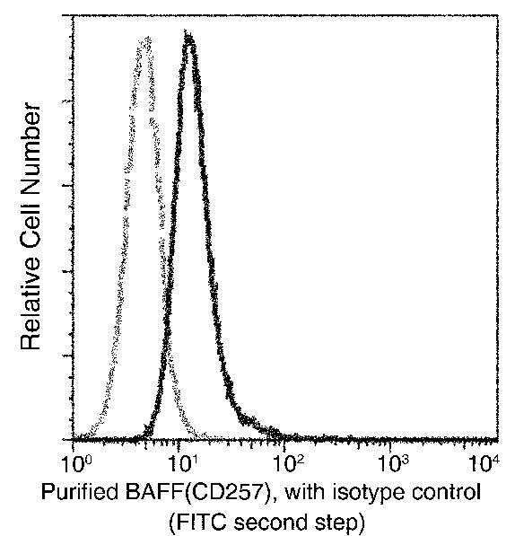 BAFF Antibody in Flow Cytometry (Flow)