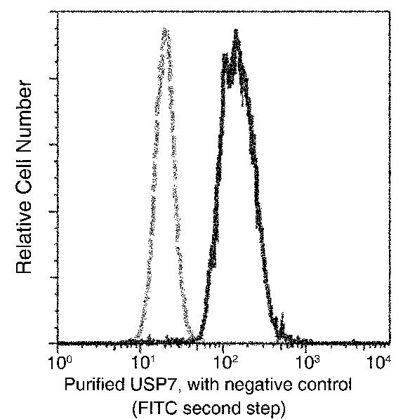 USP7 Antibody in Flow Cytometry (Flow)