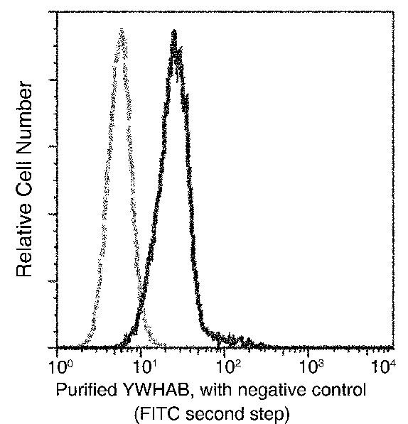 14-3-3 beta Antibody in Flow Cytometry (Flow)