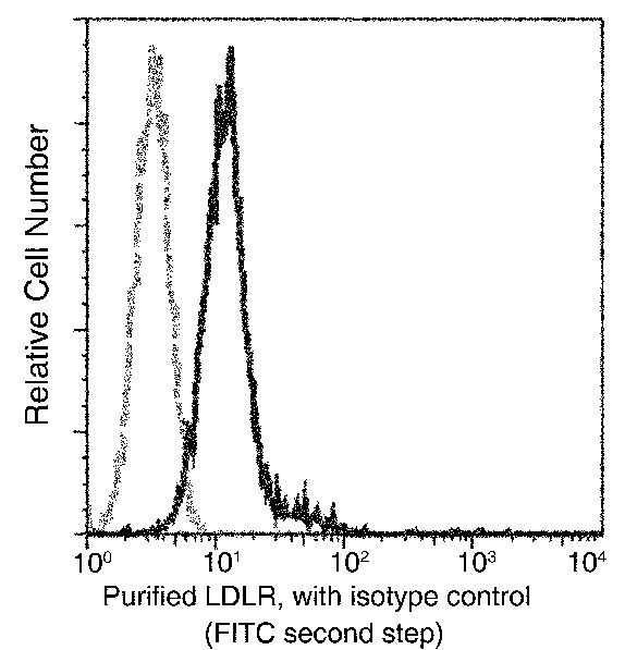 LDLR Antibody in Flow Cytometry (Flow)