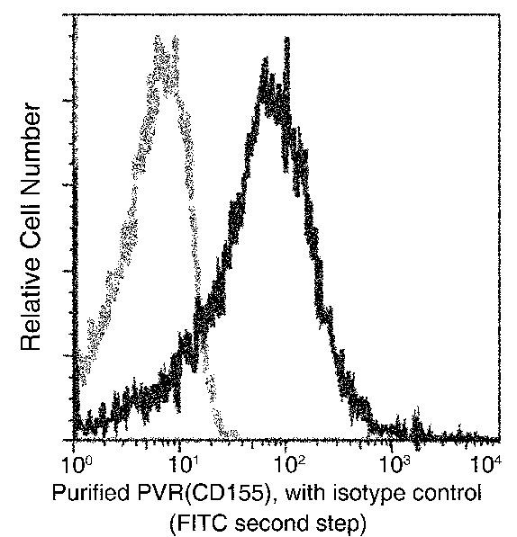 CD155 Antibody in Flow Cytometry (Flow)