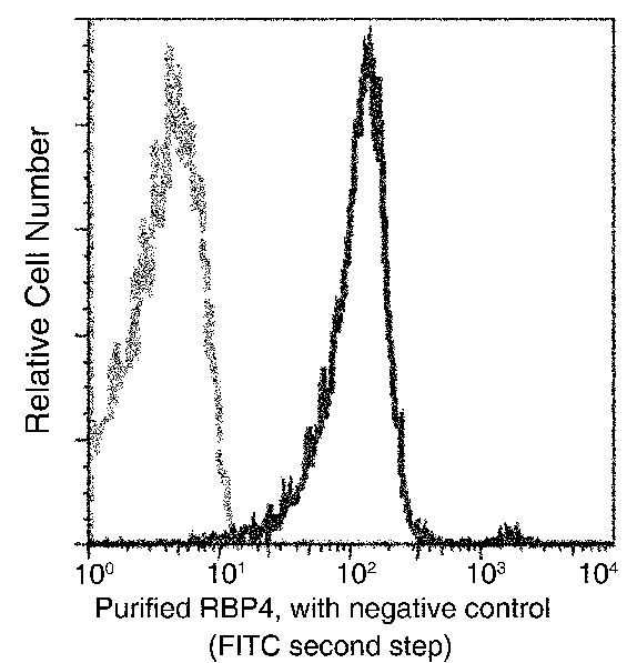 RBP4 Antibody in Flow Cytometry (Flow)