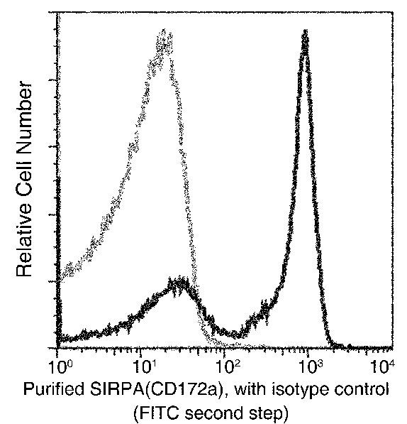 SIRP alpha Antibody in Flow Cytometry (Flow)