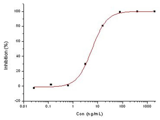 MERS Coronavirus Spike Protein Antibody in Neutralization (Neu)