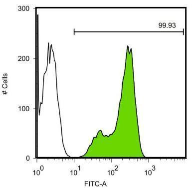 Nanog Antibody in Flow Cytometry (Flow)