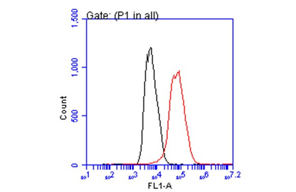 p21 Antibody in Flow Cytometry (Flow)