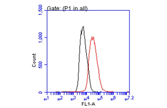 p21 Antibody in Flow Cytometry (Flow)