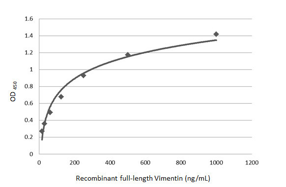 Vimentin Antibody in ELISA (ELISA)