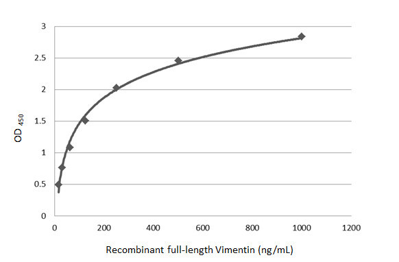 Vimentin Antibody in ELISA (ELISA)