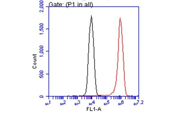 Arginase 1 Antibody in Flow Cytometry (Flow)