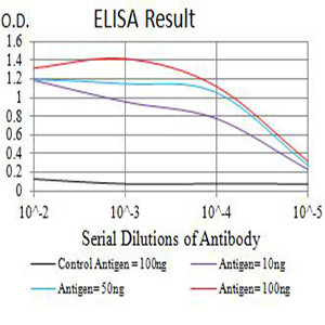 Arp3 Antibody in ELISA (ELISA)