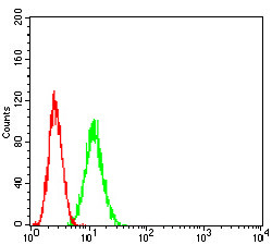 ADAR Antibody in Flow Cytometry (Flow)