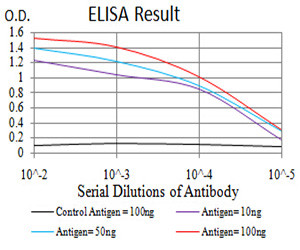 ALDH6A1 Antibody in ELISA (ELISA)