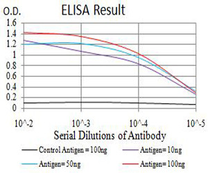 alpha Amylase 1 Antibody in ELISA (ELISA)