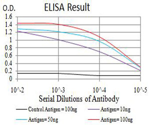 alpha Amylase 1 Antibody in ELISA (ELISA)