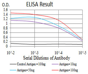 KDM1B Antibody in ELISA (ELISA)