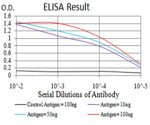 ATG13 Antibody in ELISA (ELISA)