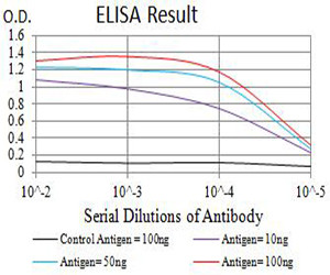 ATG4C Antibody in ELISA (ELISA)