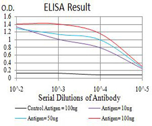 ATL1 Antibody in ELISA (ELISA)