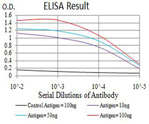 BCL11B Antibody in ELISA (ELISA)