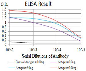 BCL9L Antibody in ELISA (ELISA)