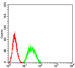 BIN1 Antibody in Flow Cytometry (Flow)