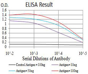 BRD2 Antibody in ELISA (ELISA)