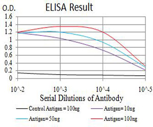 BRD2 Antibody in ELISA (ELISA)