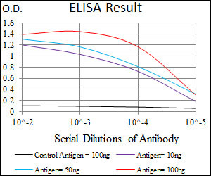 C17orf53 Antibody in ELISA (ELISA)