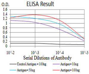 C1QA Antibody in ELISA (ELISA)