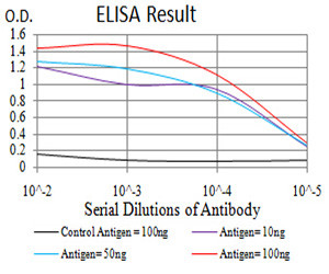 CFHR5 Antibody in ELISA (ELISA)