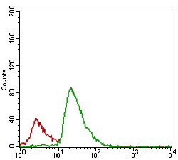 FLIP Antibody in Flow Cytometry (Flow)