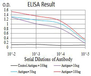 CHRNA6 Antibody in ELISA (ELISA)