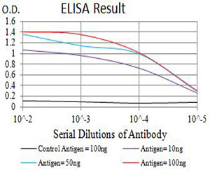 CHRNA7 Antibody in ELISA (ELISA)