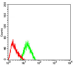 CHRNA7 Antibody in Flow Cytometry (Flow)