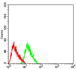 CHRNB2 Antibody in Flow Cytometry (Flow)