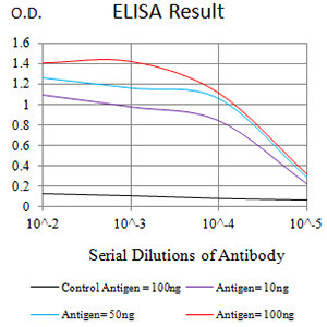 CHRNE Antibody in ELISA (ELISA)