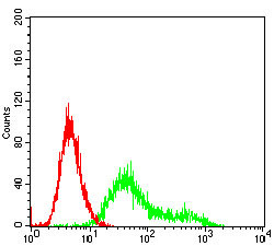 CK2 beta Antibody in Flow Cytometry (Flow)