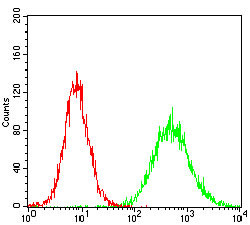 CK2 beta Antibody in Flow Cytometry (Flow)