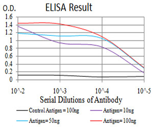 LGP2 Antibody in ELISA (ELISA)
