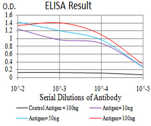 DAB2 Antibody in ELISA (ELISA)