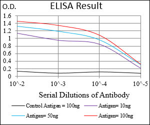 EIF2A Antibody in ELISA (ELISA)